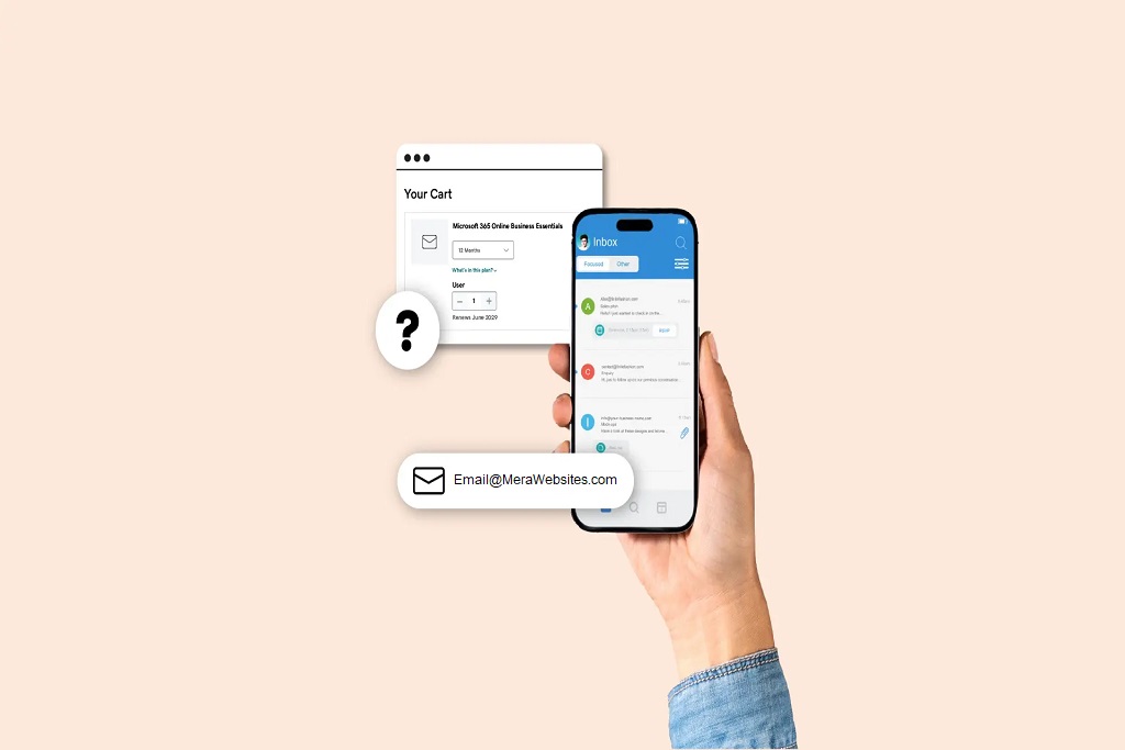 Professional email setup