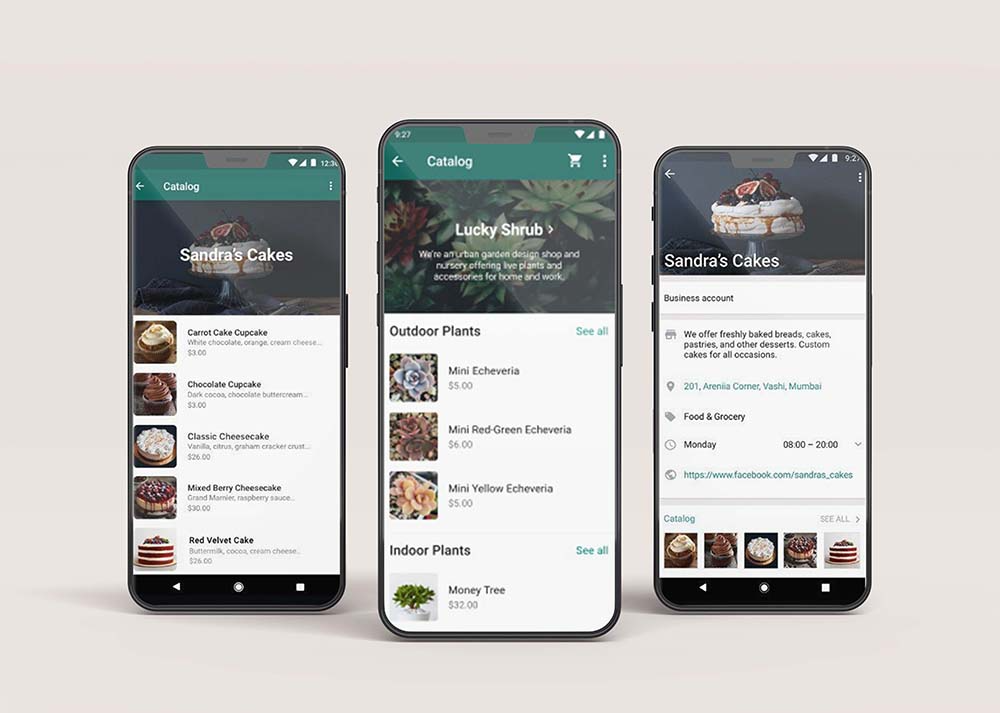 WhatsApp business catalog card